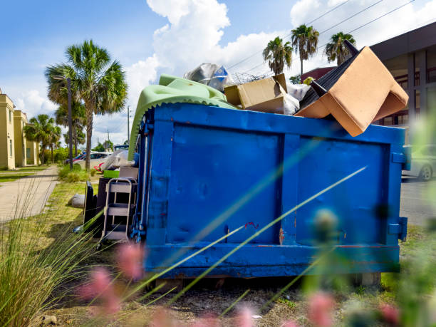 Yard Cleanup Services in Five Forks, SC